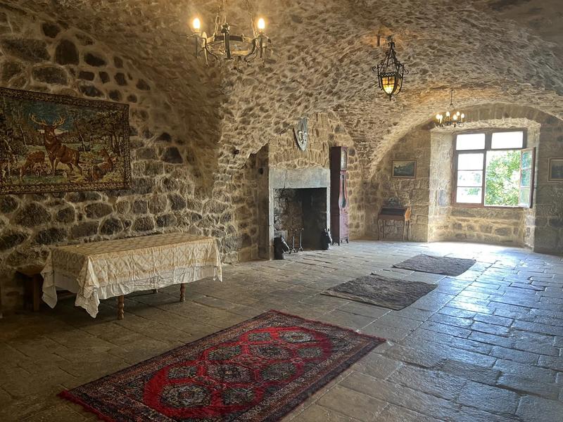 Château - 750 m² - 16 pièces