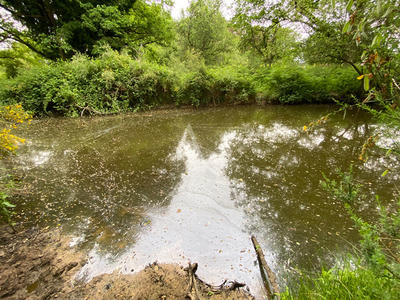 Maison - 305 m² - 10 pièces