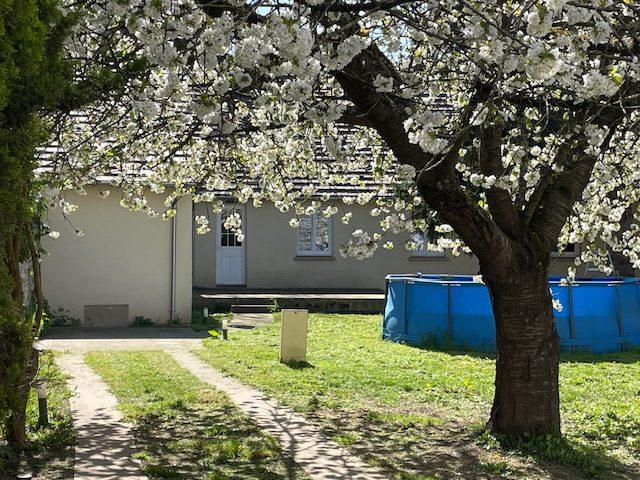 Maison - 100 m² - 6 pièces