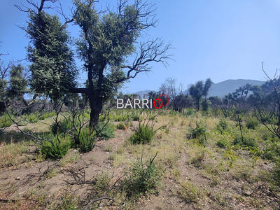 Terrain agricole - 8 000 m²