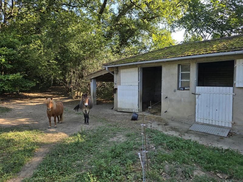 Villa - 330 m² - 8 pièces