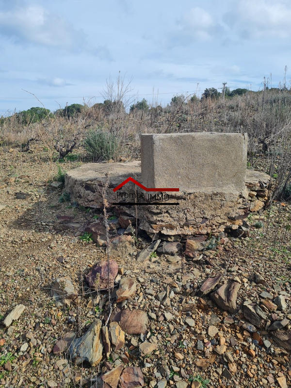 Terrain agricole - 8 975 m²