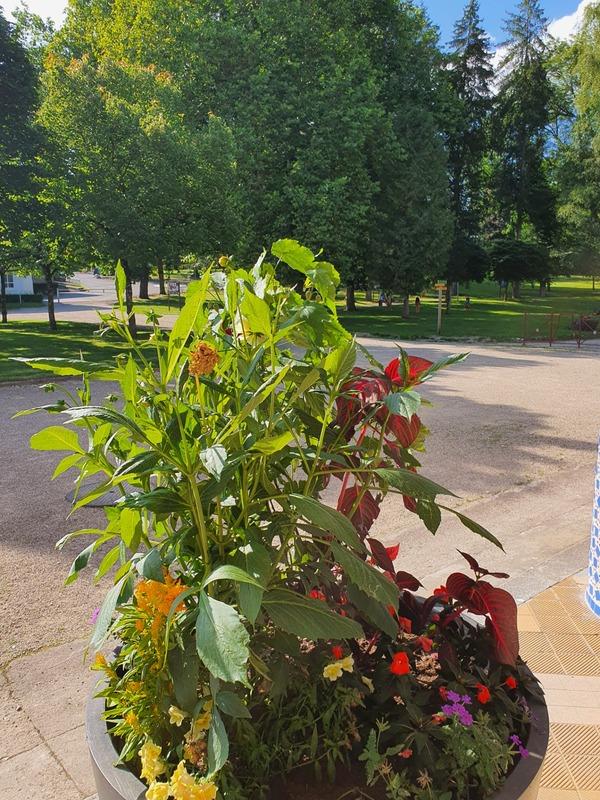 Appartement - 116 m² - 6 pièces