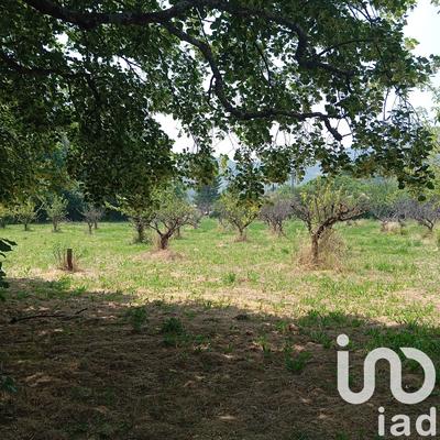 Terrain - 11 771 m²