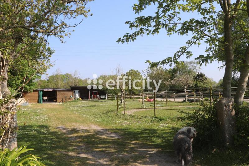 Maison - 450 m² - 21 pièces