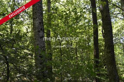 Terrain agricole - 8 130 m²