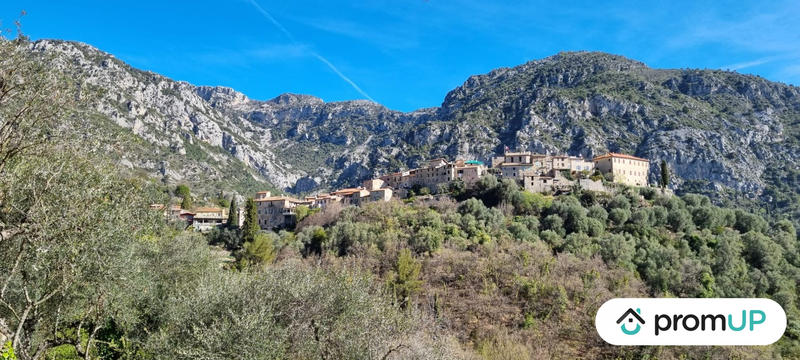 Terrain de loisirs - 2 048 m²