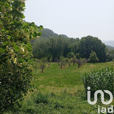 Terrain - 11 771 m²