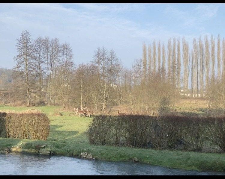 Manoir - 205 m² - 5 pièces