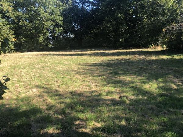 Terrain constructible - 4 300 m²