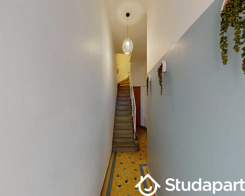 Chambre - 50 m² - 1 pièce