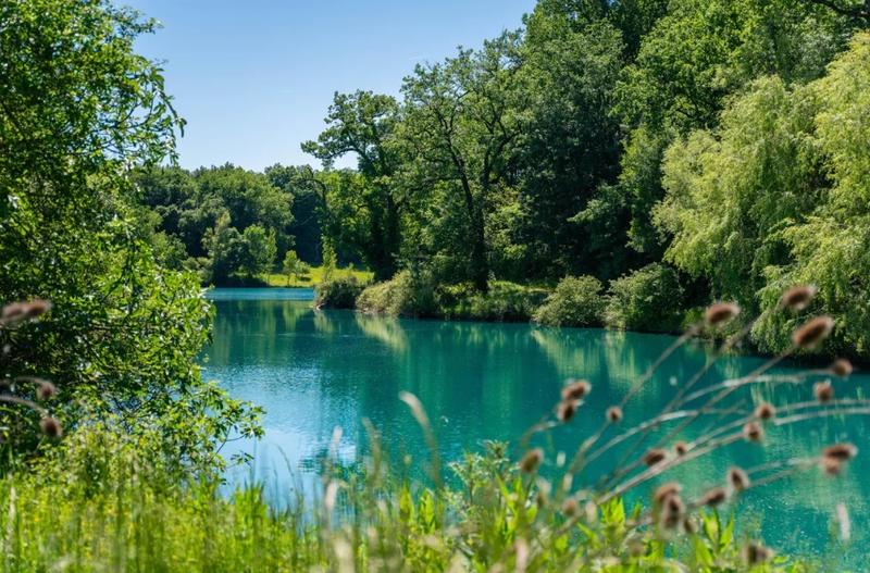 Manoir - 1 200 m² - 20 pièces