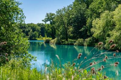 Manoir - 1 200 m² - 20 pièces