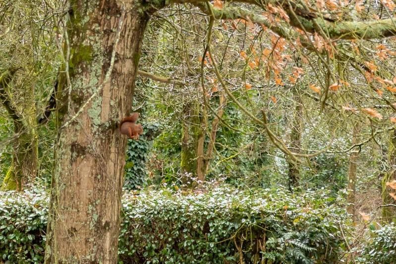 Appartement - 76 m² - 4 pièces