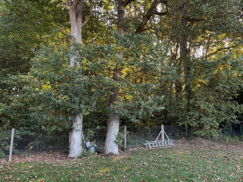 Maison traditionnelle - 73 m² - 3 pièces