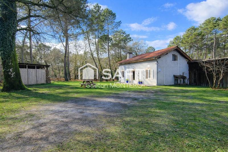 Maison - 115 m² - 4 pièces