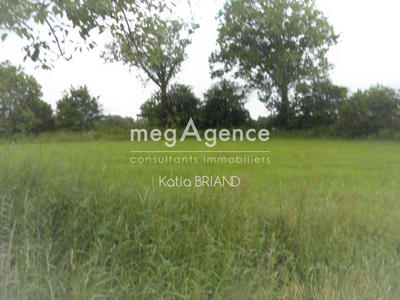 Terrain agricole - 2 312 m²