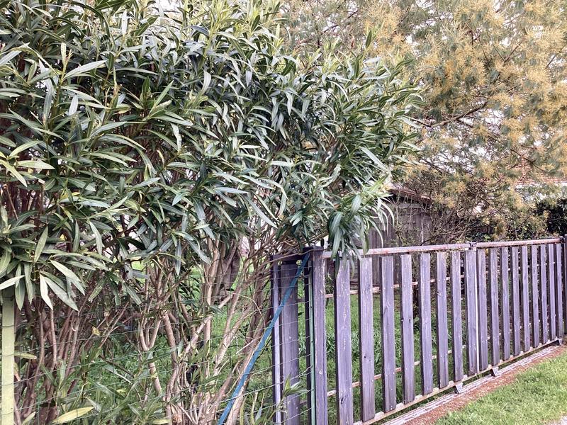 Maison - 40 m² - 2 pièces