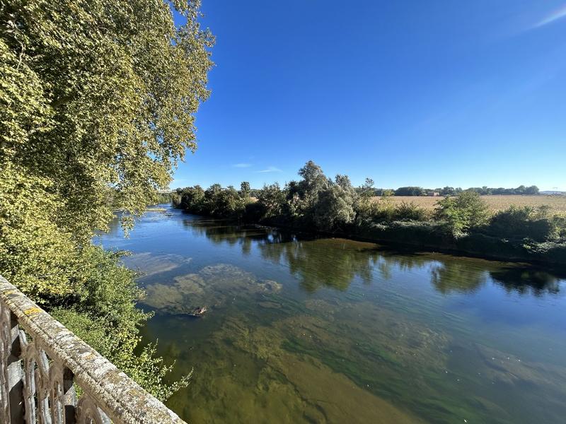 Château - 1 000 m² - 10 pièces