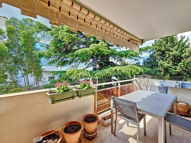 Appartement - 50 m² - 2 pièces