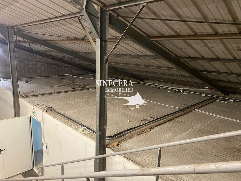 Local commercial - 310 m²