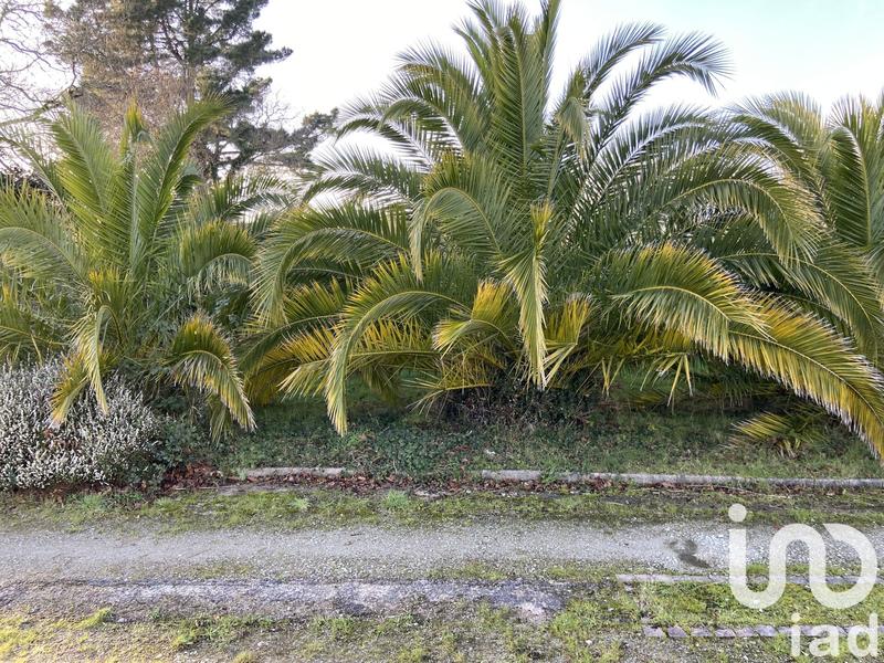 Maison - 230 m² - 10 pièces