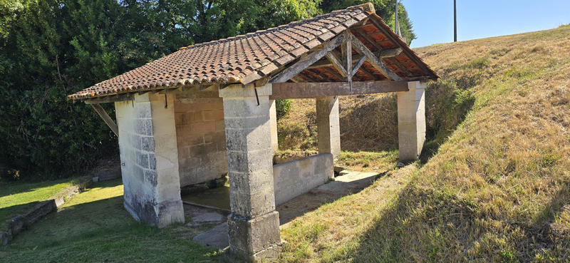 Viager - Maison ancienne - 248 m² - 11 pièces