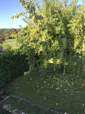 Maison - 176 m² - 8 pièces