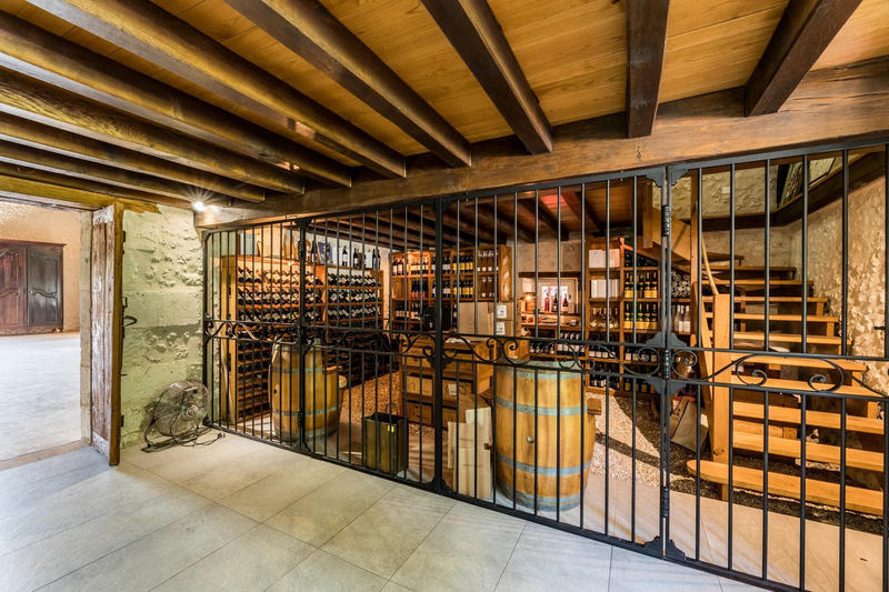 Maison - 509 m² - 12 pièces