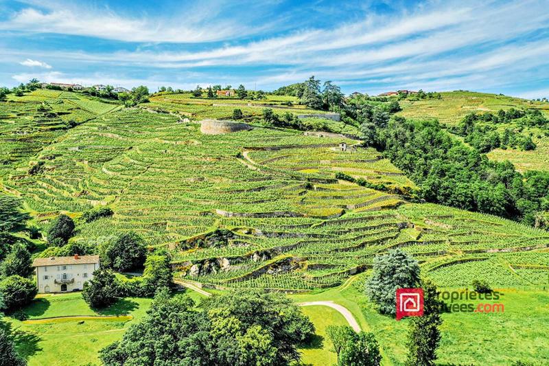 Loft - 135 m² - 3 pièces