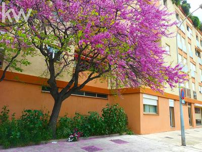 Appartement - 28 m² - 1 pièce