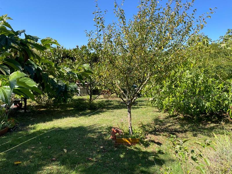 Maison - 180 m² - 9 pièces