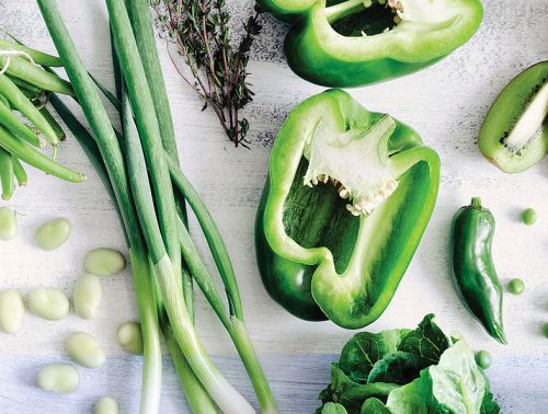 Isabelle Sylvestre Diététicienne- Nutritionniste