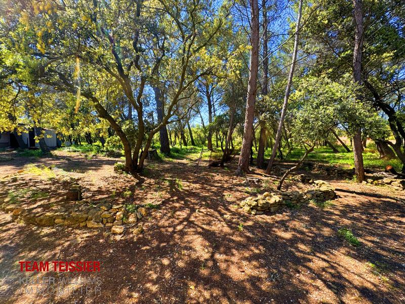 Maison - 113 m² - 5 pièces