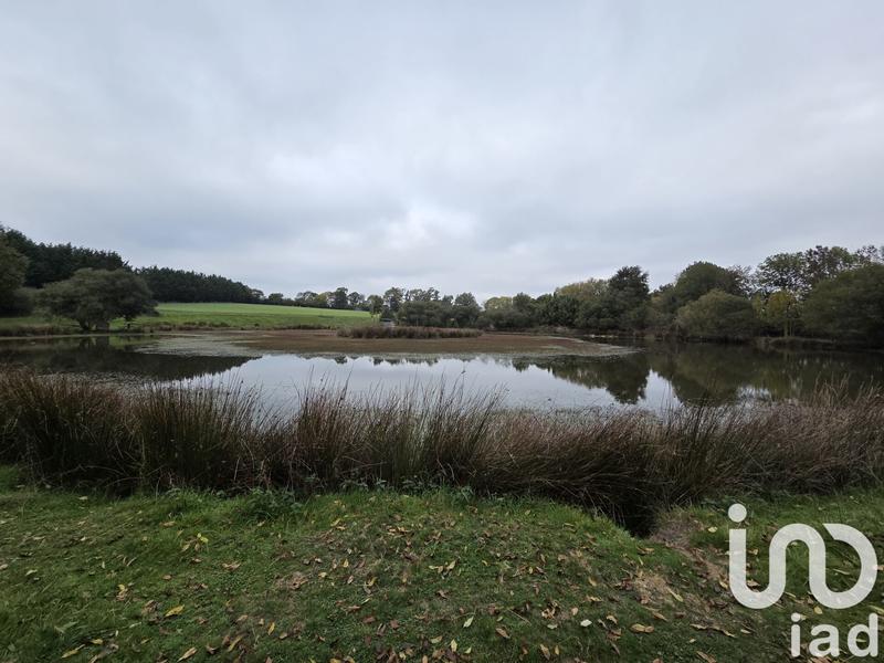 Terrain - 41 945 m²