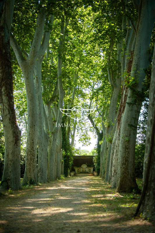 Château - 1 400 m² - 38 pièces