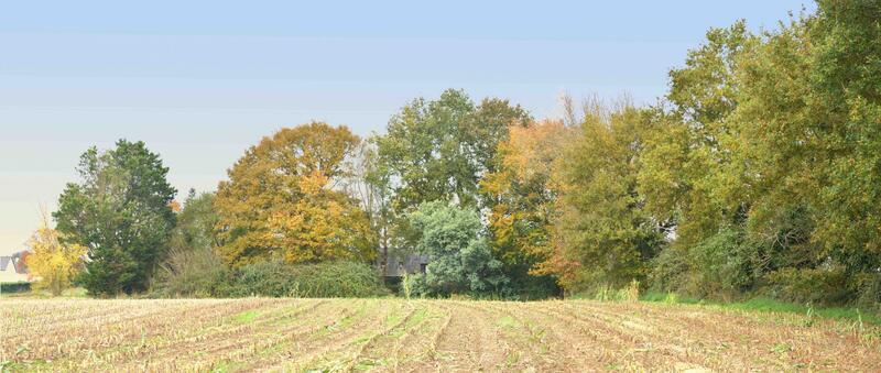 Maison ancienne - 135 m² - 5 pièces