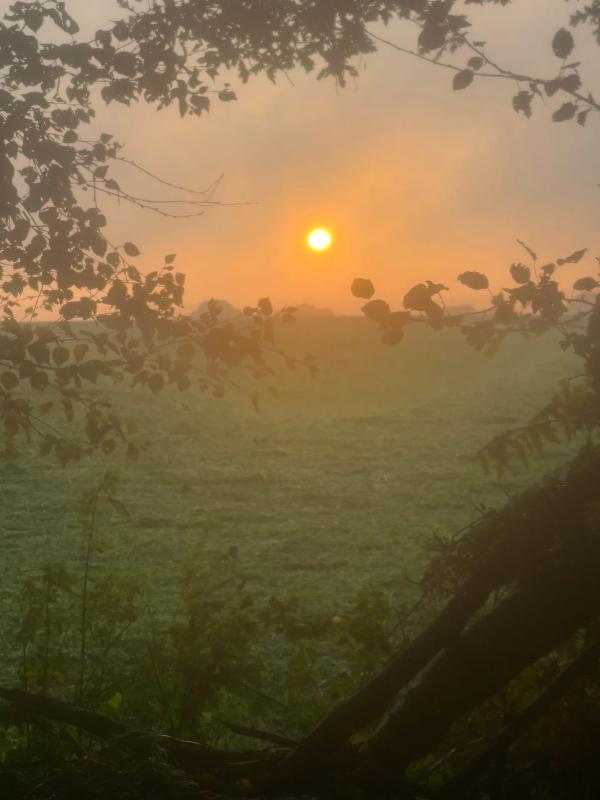 Maison de campagne - 160 m² - 6 pièces