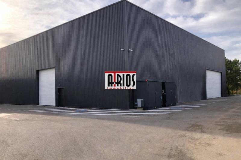 Entrepôt - 1 557 m²