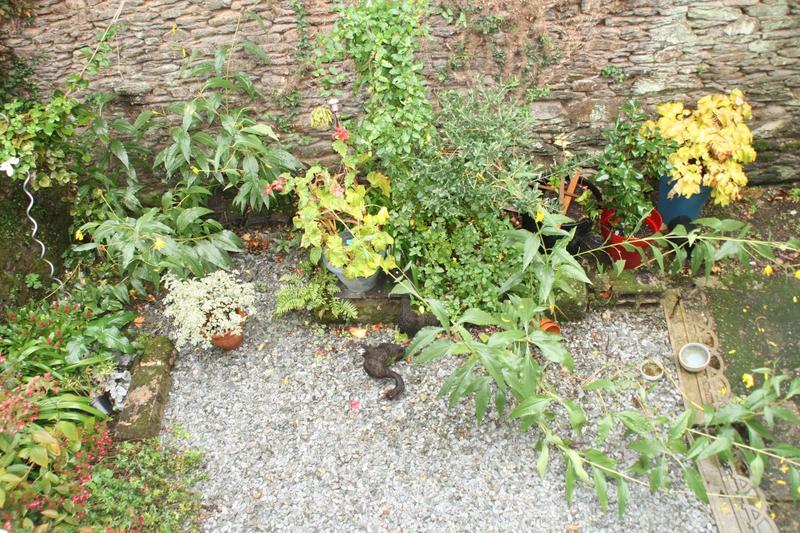 Maison - 134 m² - 8 pièces