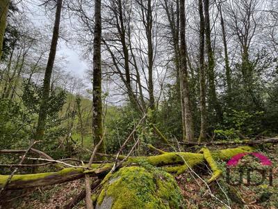 Terrain - 31 689 m²