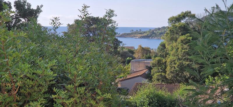 Maison - 36 m² - 3 pièces