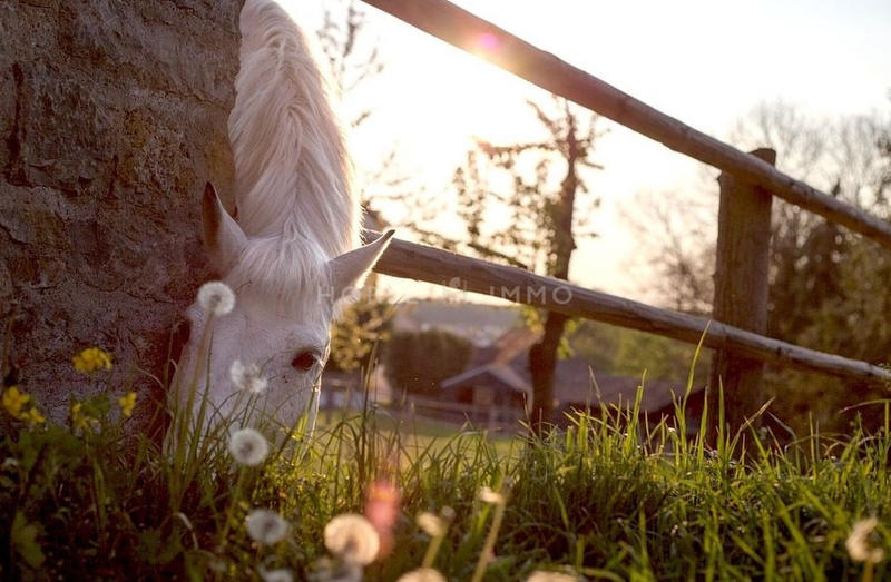 Maison - 400 m² - 10 pièces