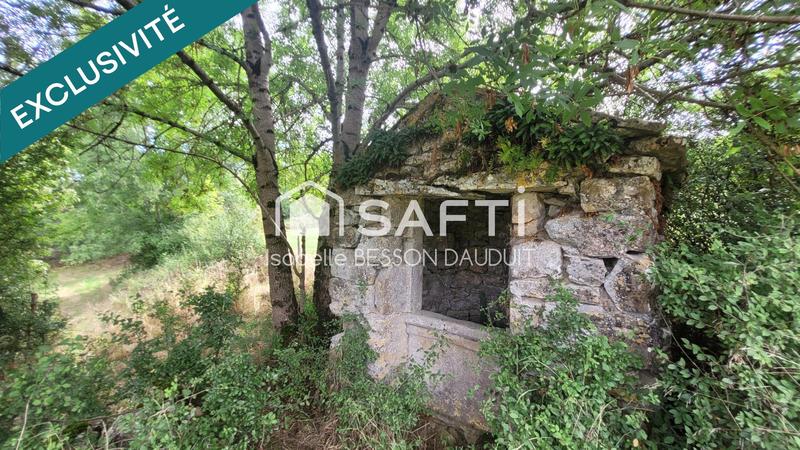 Maison de maîtres - 200 m² - 7 pièces