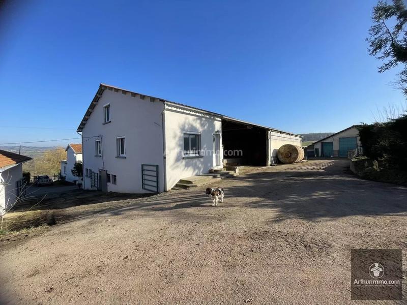 Magasins - 269 m² - 11 pièces