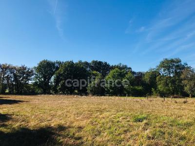Terrain constructible - 9 346 m²