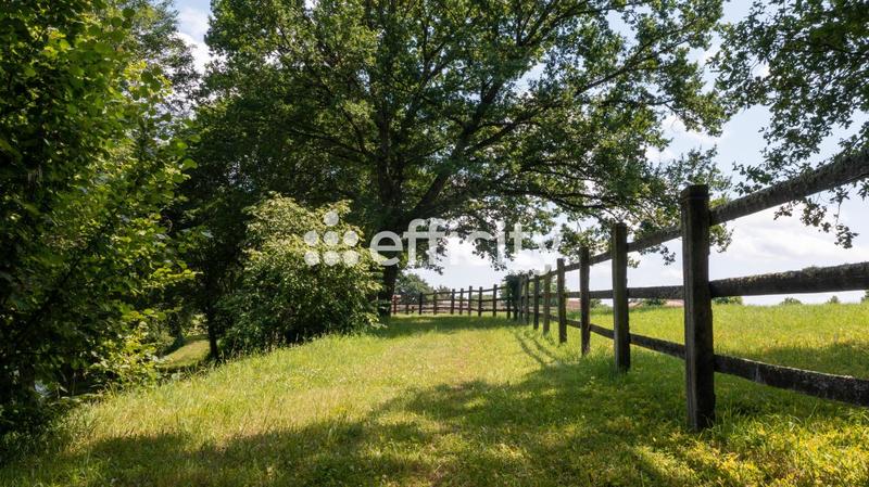 Maison - 306 m² - 8 pièces