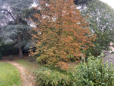 Appartement - 89 m² - 5 pièces