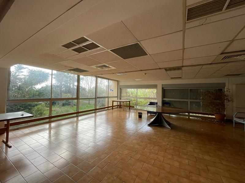 Château - 5 000 m² - 58 pièces