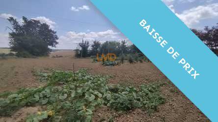 Ferme - 128 m² - 4 pièces